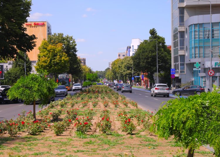 Bulevardul Mamaia