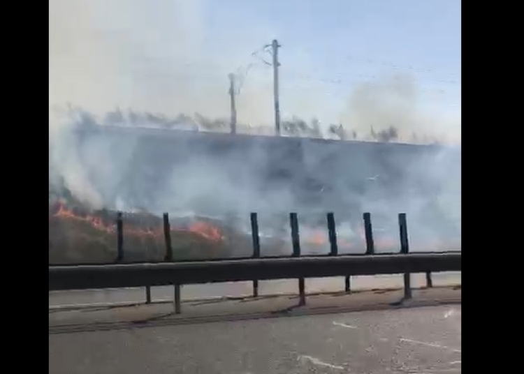 Captură video