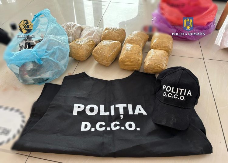 Imagine cu rol ilustrativ