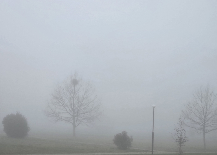 Județele Constanța și Tulcea, sub cod galben de ceață