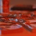 sursa: pexels.com