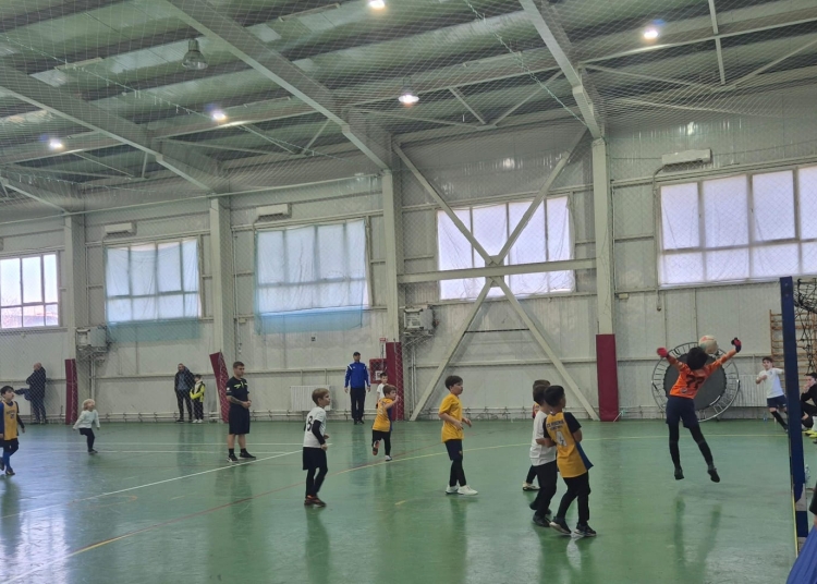 Sală de sport Școala Gimnazială nr. 29. Imagine cu rol ilustrativ