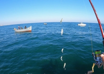 sursa foto: marea-neagra.ro