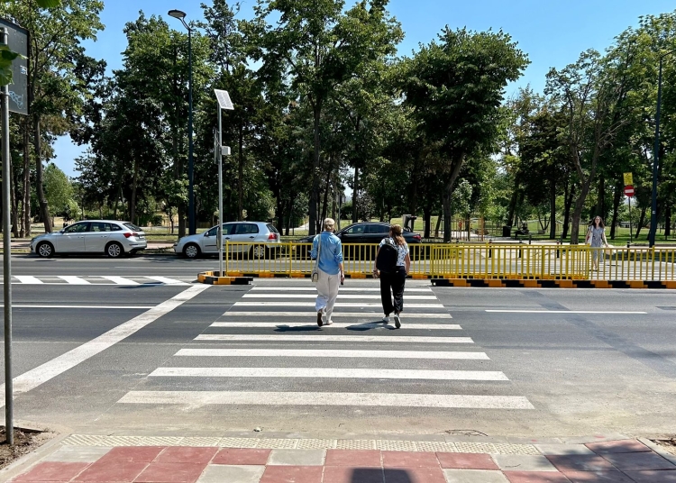Bulevardul Alexandru Lăpușneanu, trecere de pietoni