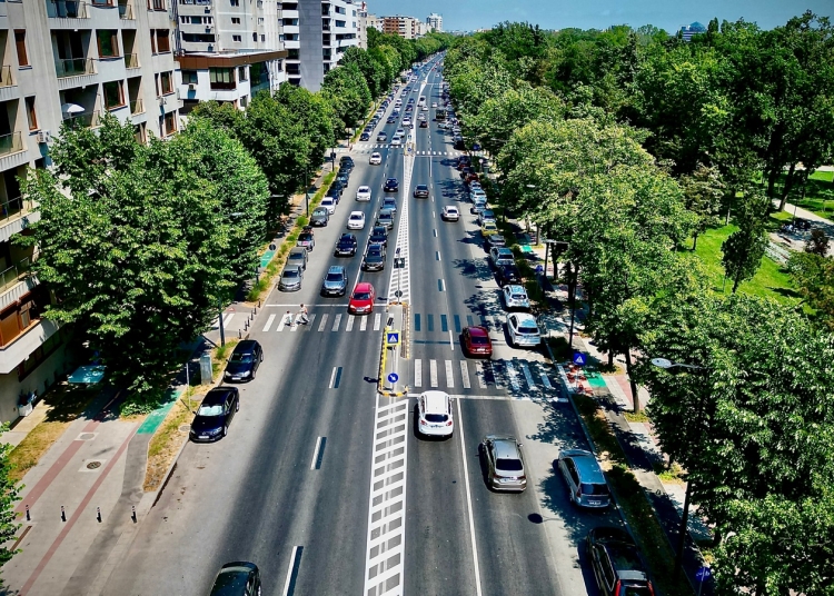 Bulevardul Alexandru Lăpușneanu, trecere de pietoni