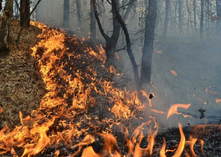 sursa foto: Radio Romania Actualități