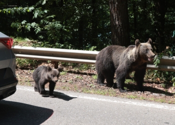 sursa foto: Inquam Photos / George Călin