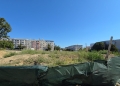 Teren Parc Soveja