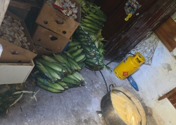 VIDEO. Atenție de unde mâncați! Kurtos și porumb fiert preparate în condiții insalubre și mizerie la Eforie