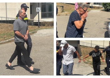 Vasile Deacu, Vlad Virgil, Viorica Stoian