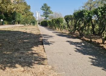 Promenada din Faleză Nord va intra în reabilitare anul viitor