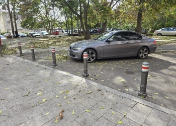 Imagine cu rol ilustrativ