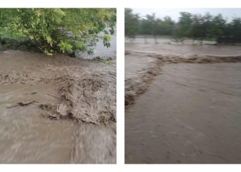 foto cu rol ilustrativ