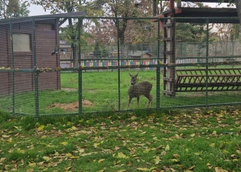 Microrezervația din Constanța