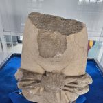 VIDEO. Arheologul Octavian Mitroi: O zeiță printre ruinele orașului, Afrodita - redescoperită la Constanța