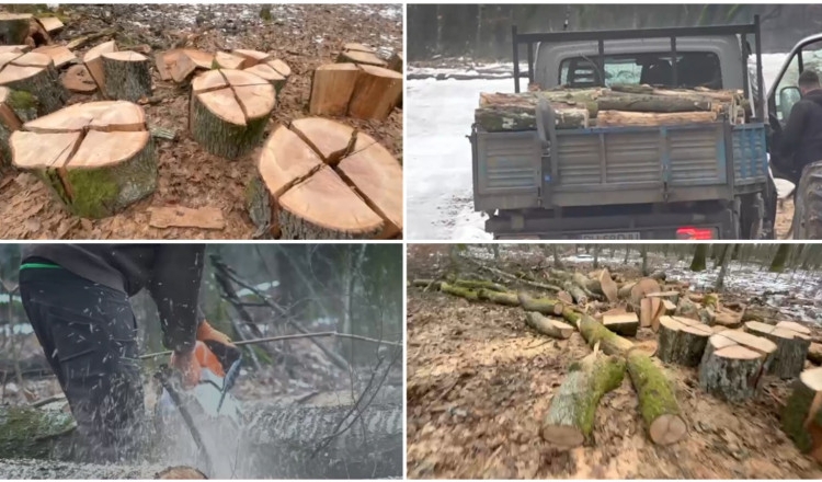 Sursa foto: colaj captură video Digi24