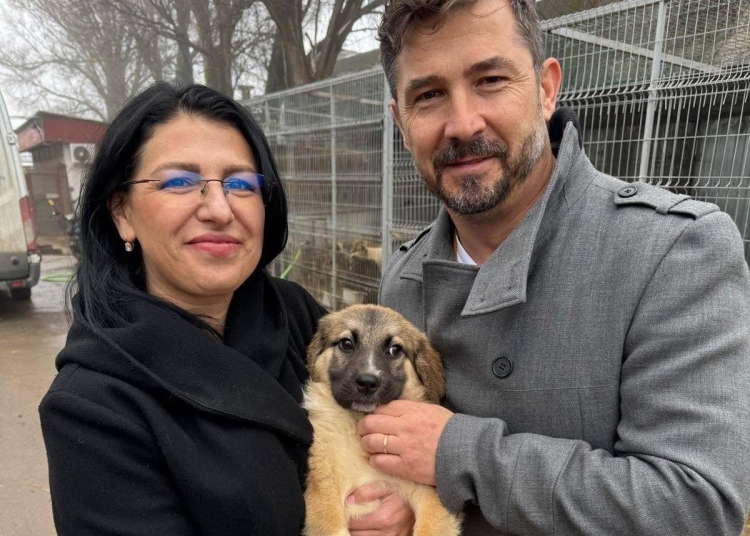 Irina și Cătălin Schipor
