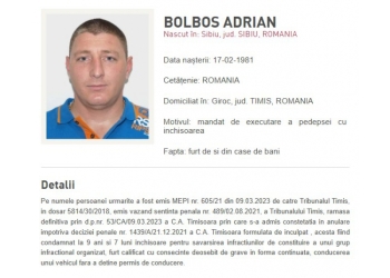 MOST WANTED: Bărbat prins cu identitate falsă în Franța, adus în România pentru furt și grup infracțional organizat