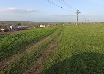 oplus_11534336
