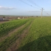 oplus_11534336