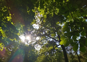 Cum va fi vremea în primele zile din martie