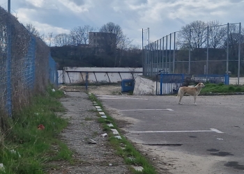 Amplasament stadion "Gheorghe Hagi"