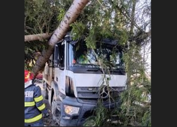 Imagine cu rol ilustrativ