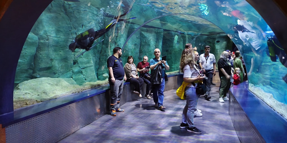 Istanbul Aquarium. FOTO Alexandra VASILE, arhivă personală