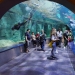 Istanbul Aquarium. FOTO Alexandra VASILE, arhivă personală