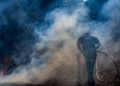 Incendii devastatoare în Spania. Foto: Profimedia