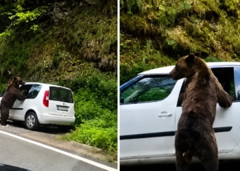 Sursa foto: BizBrasov.ro