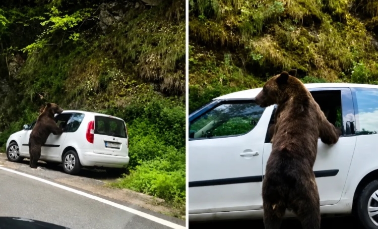 Sursa foto: BizBrasov.ro