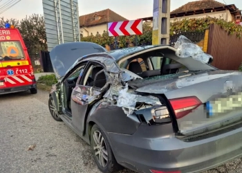 Sursa foto: ISU Argeș