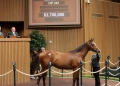 Fwcebook Keeneland