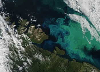 Sursă foto: NASA Earth Observatory