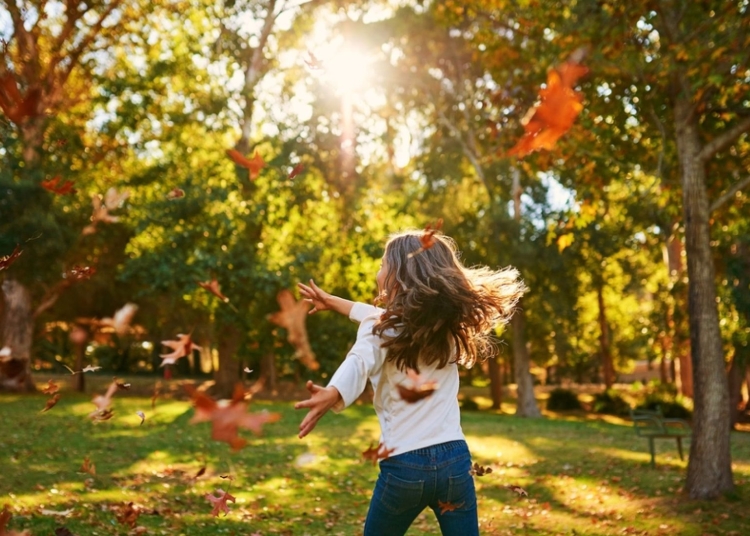 Foto: Shutterstock
